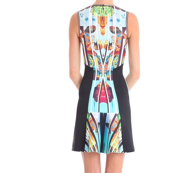 ‼️LOWEST ‼️ LAST CHANCE ‼️ Clover Canyon Fit and Flare Rose Dress - Picture 3 of 4